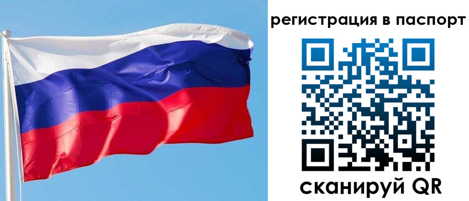 прописка законно в Ельне